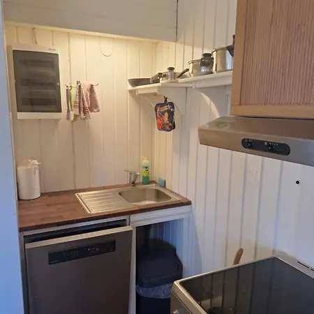 Leiligheten 公寓 *