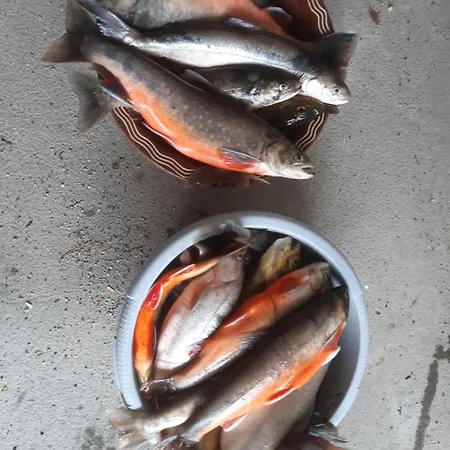 公寓 Leiligheten *