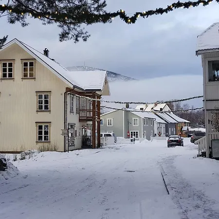 公寓 Leiligheten Fyresdal